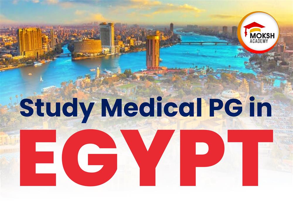 	Study Medical PG in Egypt